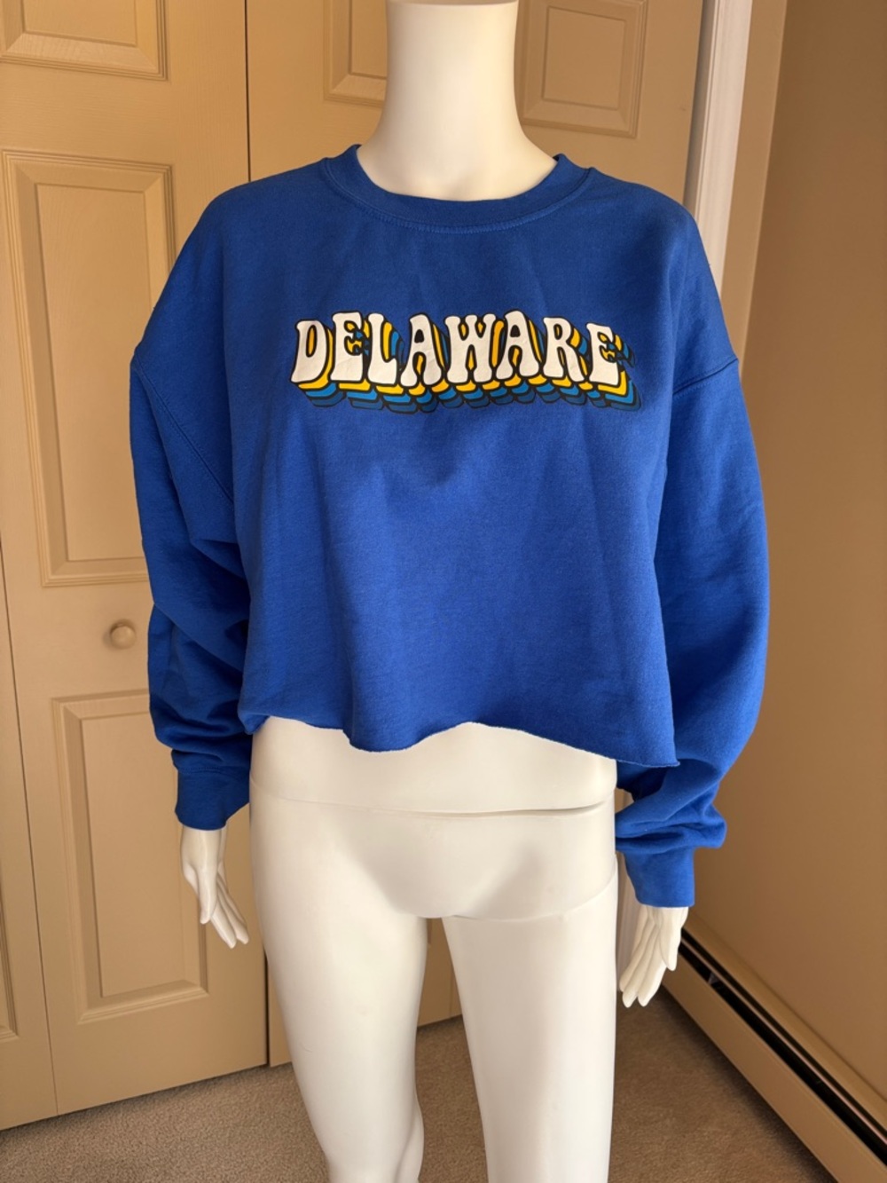 UNIVERSITY of DELAWARE cropped graphic sweatshirt
